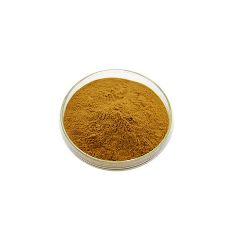 Ginger Extract - Chemcohealth