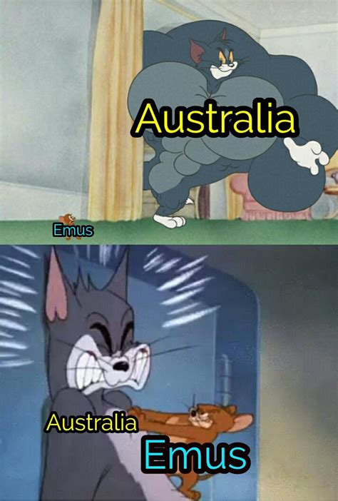 The "Great" Emu War : r/HistoryMemes