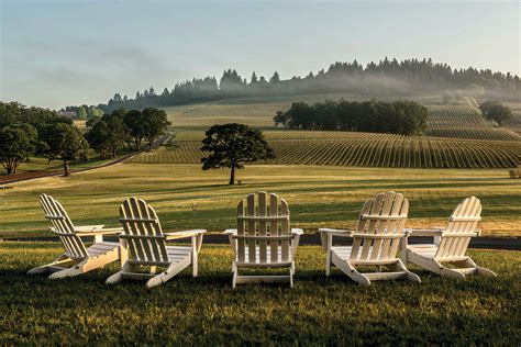 13 Oregon Wineries Easy to Visit with Limited Mobility