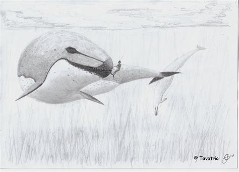 Basilosaurus by tavotrio on DeviantArt