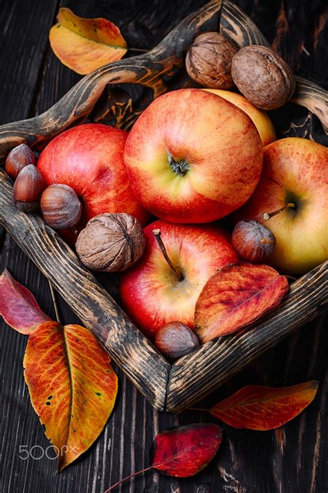 Basket of autumn apples - Stylish wooden basket with autumn harvest ...