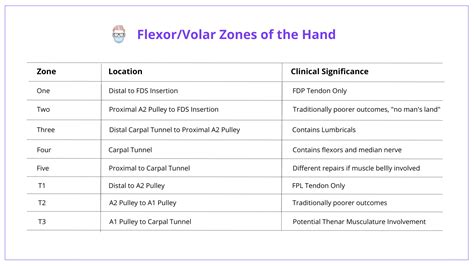 Flexor Tendon Injury Repair (with Images)