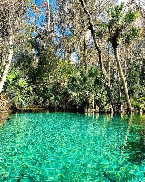 Rainbow springs state park tips and photos to inspire your visit – Artofit