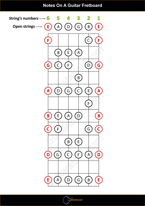 Guitar Fretboard Notes Printable Printable Templates | The Best Porn ...