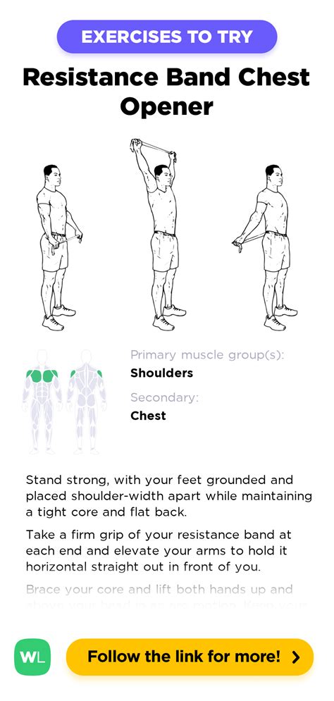 Resistance Band Chest Opener / Stretch – WorkoutLabs Exercise Guide