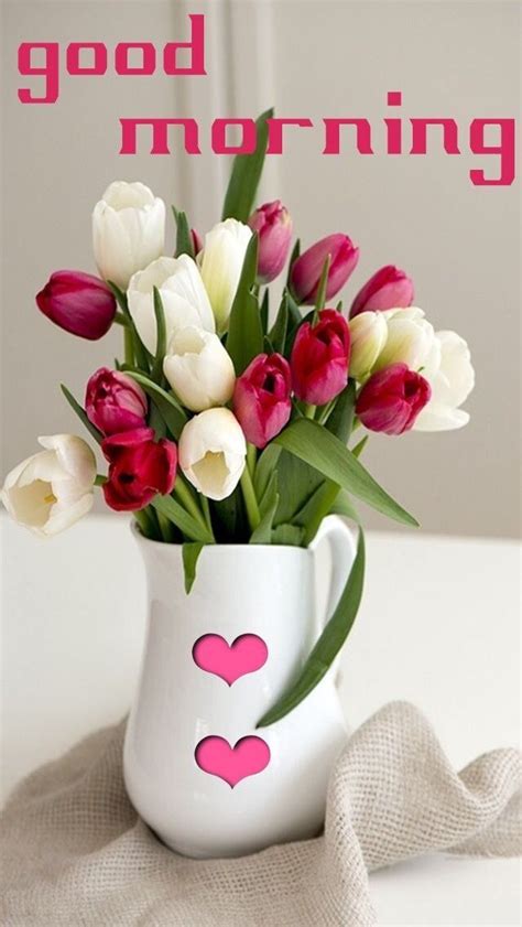 Tulips | Good morning flowers, Morning pictures, Good morning picture