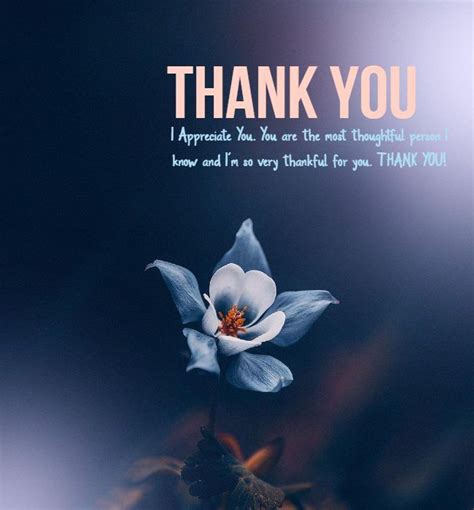 147 Best Thank You Messages Wishes – Be Thankful Appreciation Quotes ...