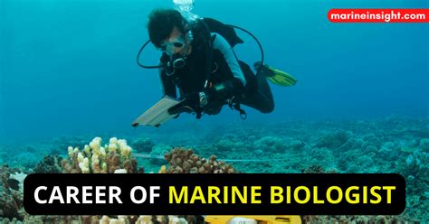 Explore A Career As A Marine Biologist