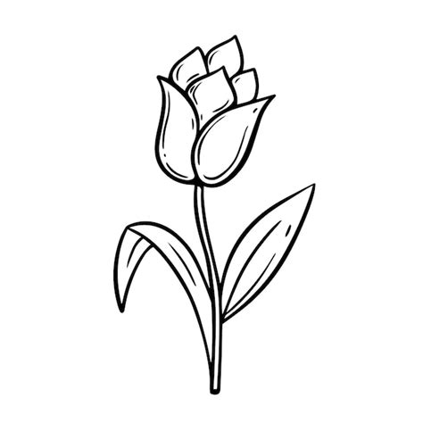 Premium Vector | A black and white drawing of a tulip flower.