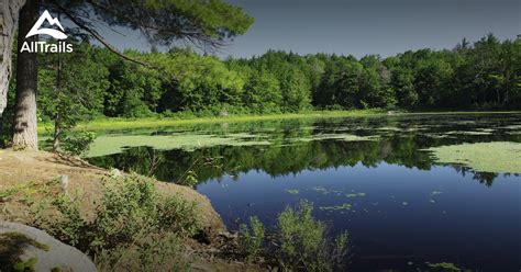 Best hikes and trails in Echo Lake Nature Preserve | AllTrails