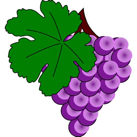 Grape With Vine Leaf PNG, SVG Clip art for Web - Download Clip Art, PNG ...