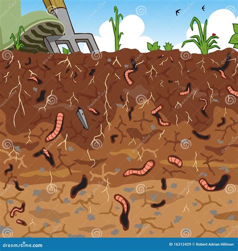 Soil Cartoons, Illustrations & Vector Stock Images - 239819 Pictures to ...