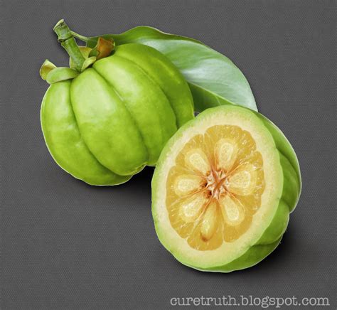 Where to find garcinia cambogia fruit, how to lose weight fast without ...