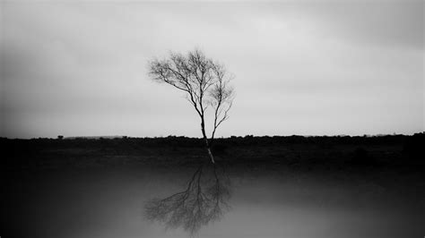 Wallpaper Nature, Black and White, White, Black, Natural Landscape, 4K ...