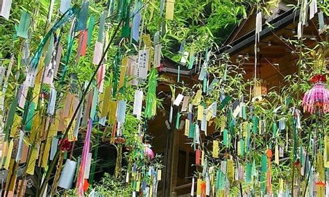 Tanabata Tree