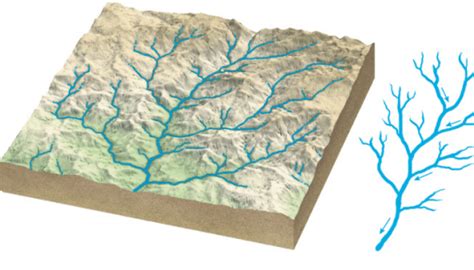 Drainage Patterns and Drainage Systems of India – SA IAS ACADEMY