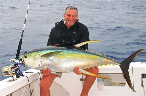 Yellowfin tuna or Thunnus albacares - Rod Fishing club