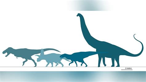 New Mexico study shows newly discovered dinosaur subspecies predates ...