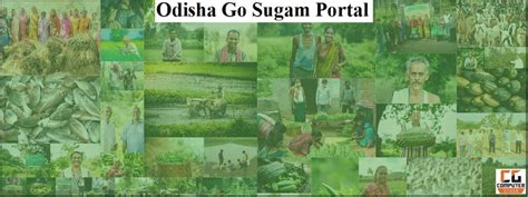 Odisha Go Sugam Portal | Online Registration | Status