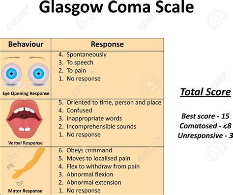 The Glasgow Coma Scale Is Used to Assessment