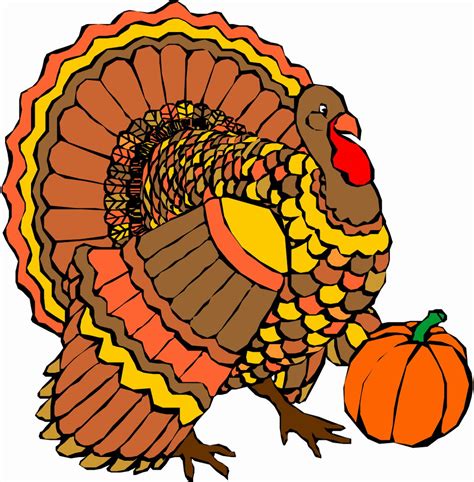 Free Images Of Thanksgiving Turkeys, Download Free Images Of ...