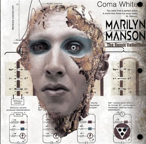 Marilyn Manson - The Remix Collection (2014) FLAC