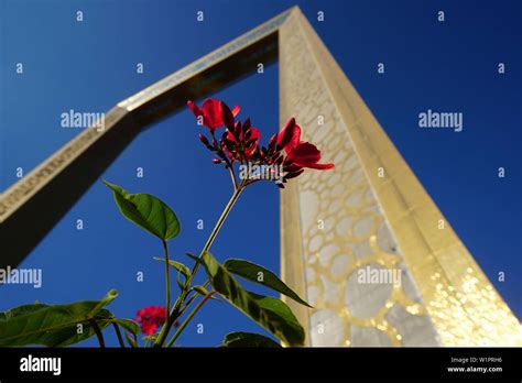 Dubai Frame, Plants, Flowers, Zaabel Park, Dubai, UAE, United Arab ...