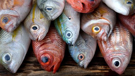 12 Cheap Fish You Should Absolutely Never Eat