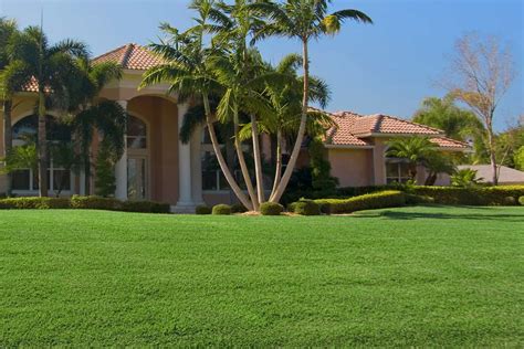 Grass Types In Florida: 7 Top Picks For Your Florida Lawn