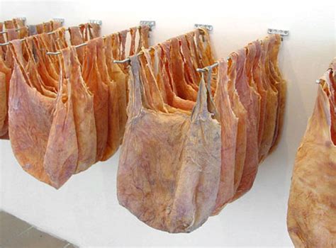 Do You Know?: Bags And Shoes Made Of Human Skin!