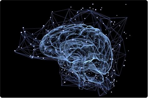 New study sheds light on memory formation