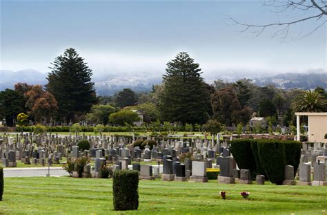 Site Planting and Maintenance – Jewish Cemeteries of San Francisco