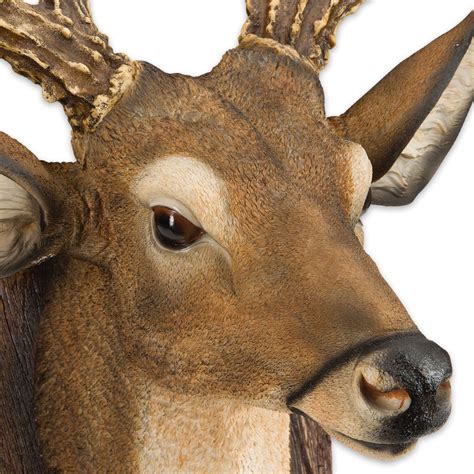 12-Point Buck/Deer Head Reproduction Wall Sculpture - BUDK.com