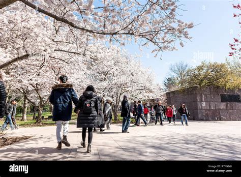 Washington DC, USA - April 5, 2018: Tourists people couple walking by ...