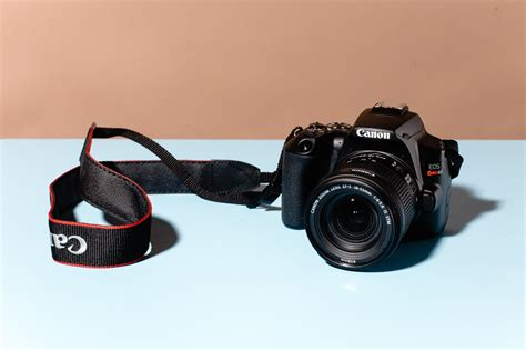 Best Professional Dslr Camera For Beginners / There are a few ...