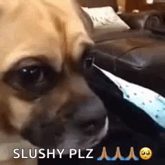 Puppy Eyes Dog GIF - Puppy Eyes Dog Cute - Discover & Share GIFs