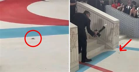 Cockroach Walking Red Carpet At Met Gala Takes Center Stage As Latest ...