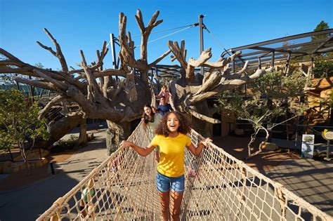 San Diego Zoo opens new immersive attraction for children | blooloop