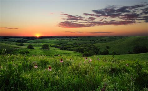 Summer Bouquet | Landscape photos, Prairie, Landscape