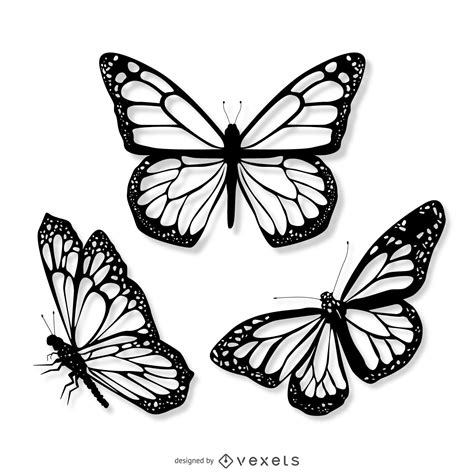 Butterfly Vector & Graphics to Download