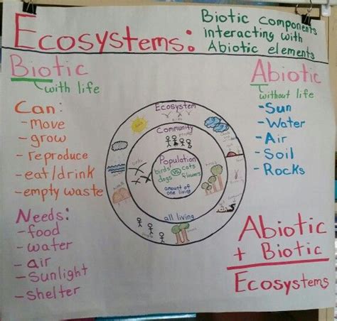 Biotic And Abiotic Factors Worksheet