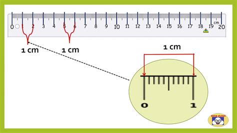 How to Read a Metric Ruler? | Centimetre and Millimetre | Math For Kids ...