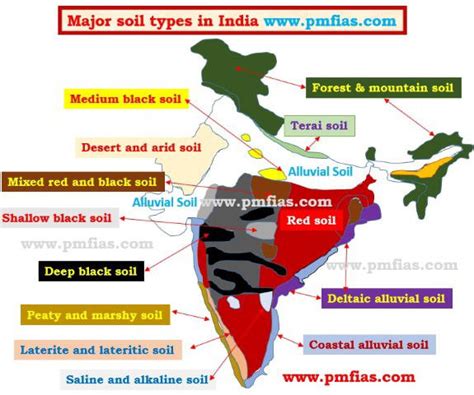 Major Soil Types of India: Alluvial Soils & Black Soils - PMF IAS