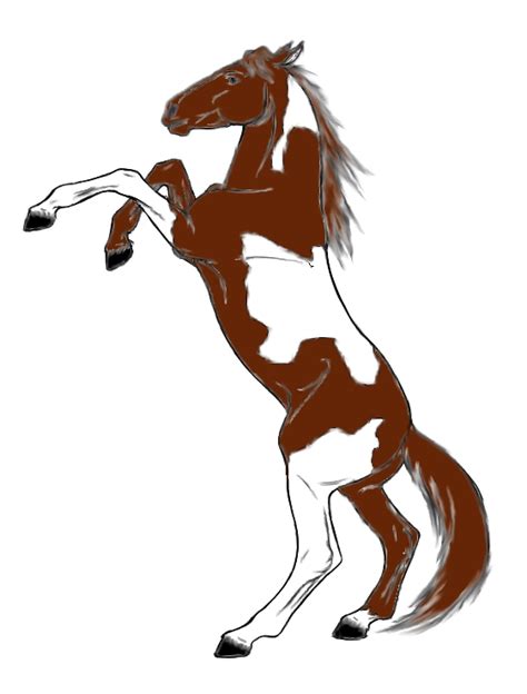 Horse Rearing Drawing at GetDrawings | Free download