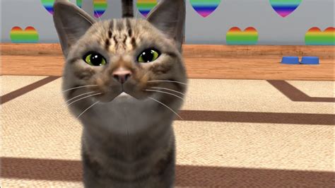 🐱 InstaKitty 3D - Virtual Cat Simulator 2017 - YouTube