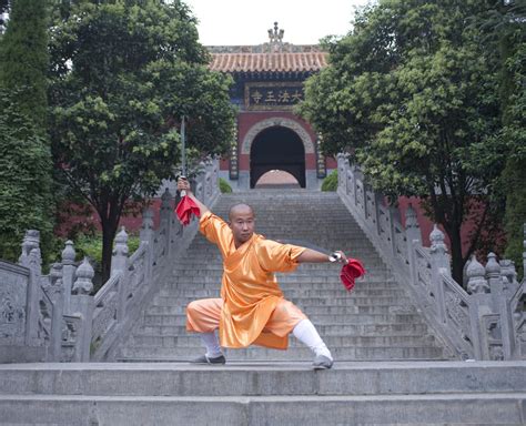 Shaolin & Wudang Styles of Kung Fu Comparison