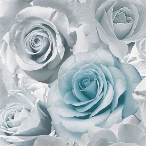 Madison Rose Floral Wallpaper - Blue - 119503