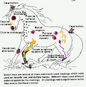 Native American War Horse Markings