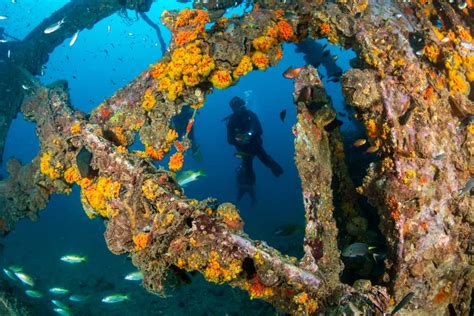 Scuba Diving in Khao Lak 2024 |Dive Spots, Cost, Operators