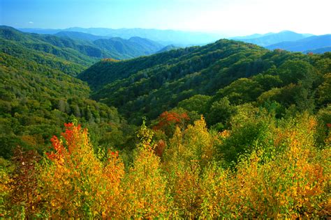 When Do the Leaves Change Color in the Fall in Gatlinburg? – Inside ...